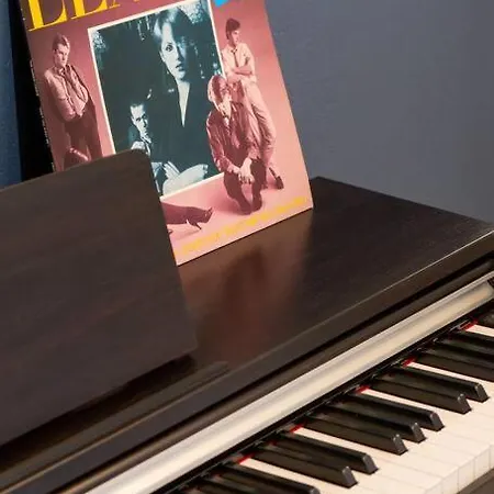 Le Vinyle - Vivez Experience Musicale - Guitare, Piano, Disque A Disposition Appartement